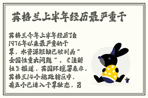 激战后厨1至5集